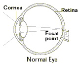 About the Human Eye - Dr. Lawrence F. Jindra